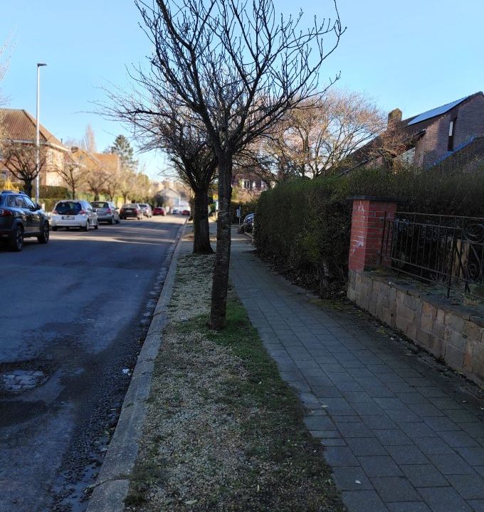 8857f965-ecca-4954-9482-cee8ceb7b475