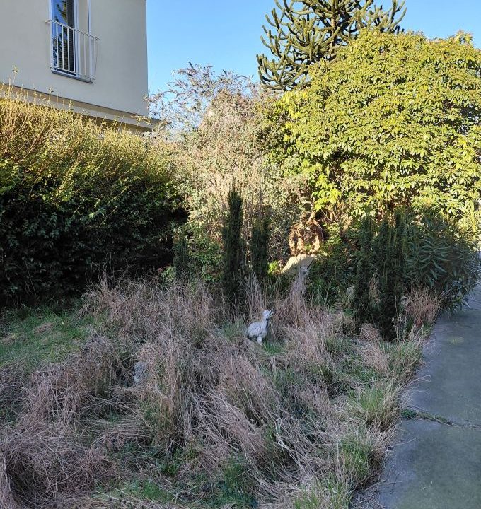 ab776a0a-155d-4f20-b2b3-ec4a2caf2e30